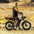 Electric Bike 750W
