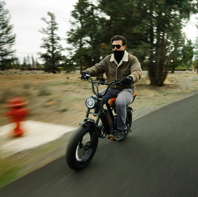 Electric Bike 750W