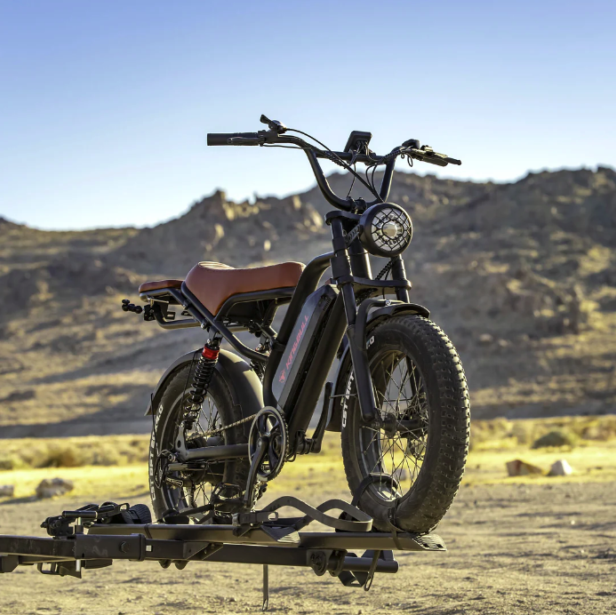 Electric Bike 750W