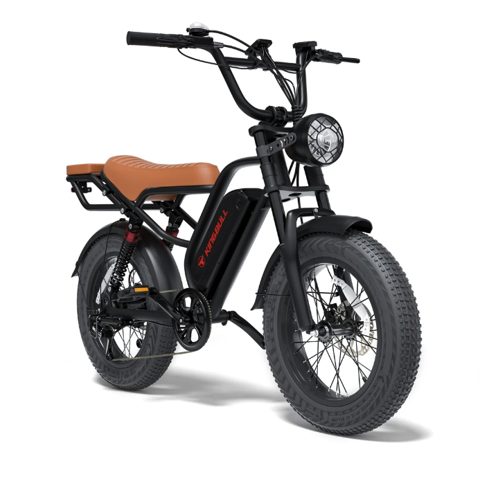 Electric Bike 750W