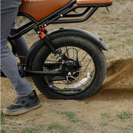 Electric Bike 750W