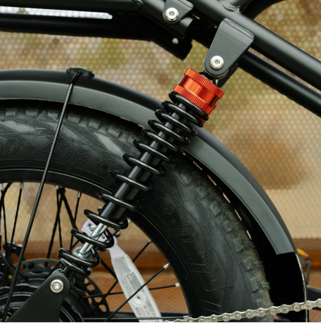 Electric Bike 750W