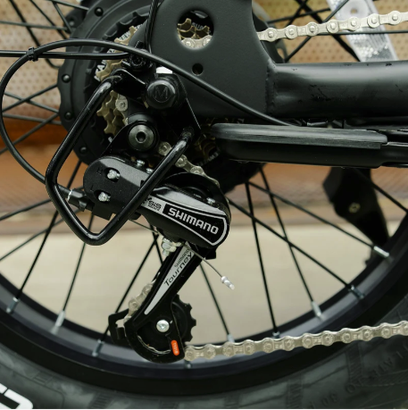 Electric Bike 750W